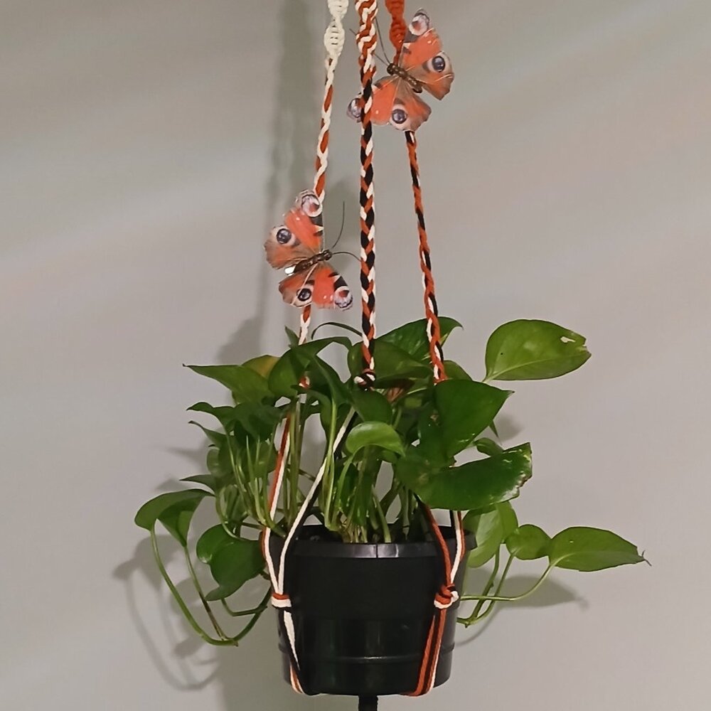 Butterfly Plant Hanger